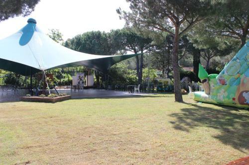 Camping Lacona Pineta