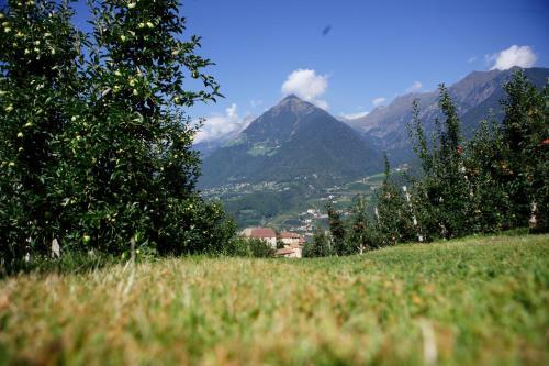 Bed & Breakfast Pension Laurin