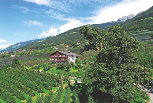 Bed & Breakfast Pension Laurin