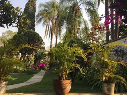 Hotel Villas Bellavista