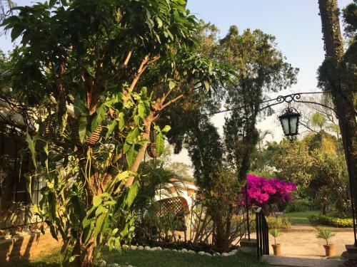 Hotel Villas Bellavista