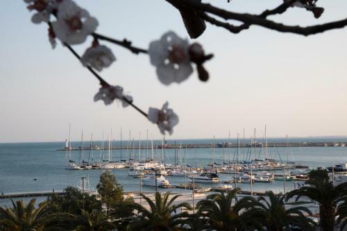 La Dolce Vista - B&B Di Charme