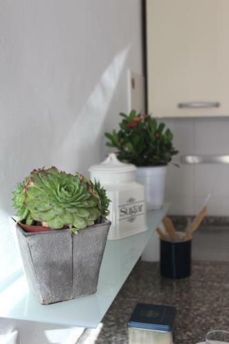 Apartamento Le Case Di Anna