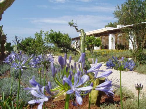 Hotel Masseria L'antico Frantoio