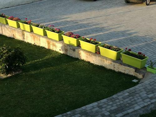 Bed & Breakfast La Casa Delle Farfalle