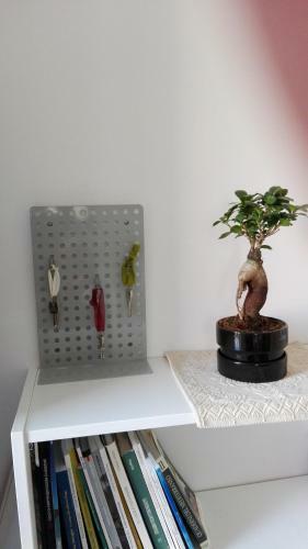 Bed & Breakfast La Casa Delle Farfalle