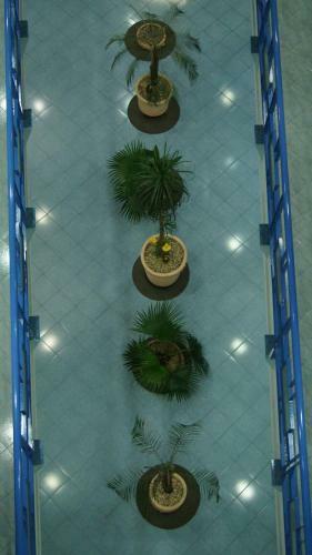 Hotel Muy - Adults-only