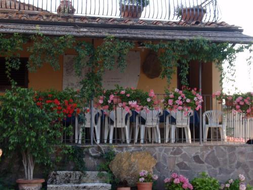 Hostal Agriturismo Poggio Pistolese