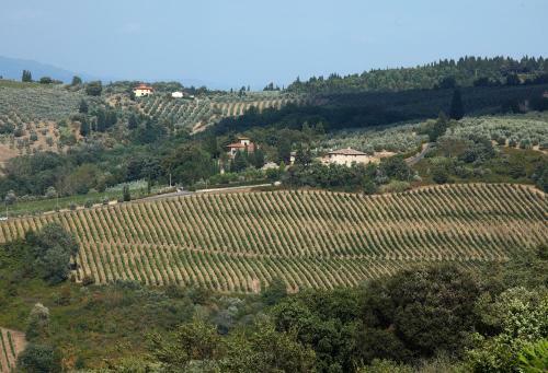 Agroturismo Podere Le Rondini
