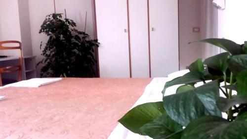 Hotel Galles Rimini
