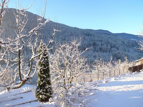 Apartamento Villa Ried