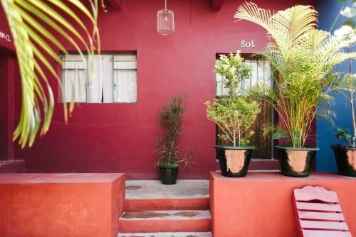Bed & Breakfast Boca Del Monte By Diablo Y La Sandia