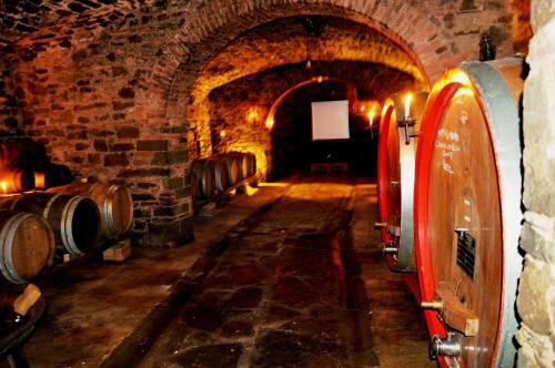 Agroturismo Fattoria Castelvecchi