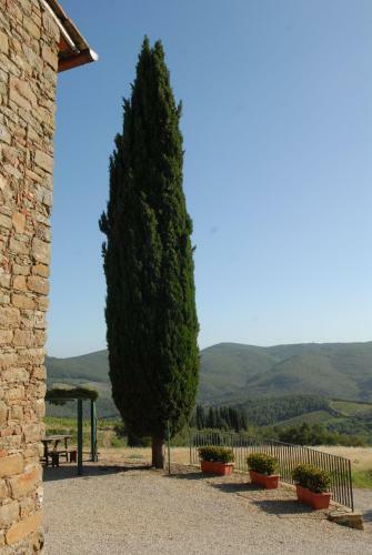 Agroturismo Fattoria Castelvecchi