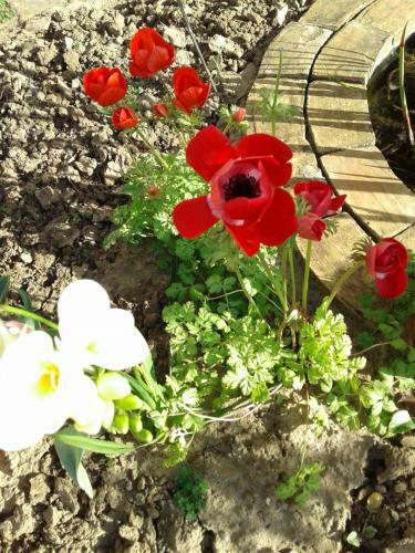 Borgo Manfria B&B