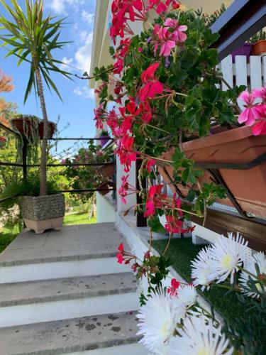 B&B A Casa Di Picci