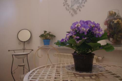 Bed & Breakfast I Colori Di Mag