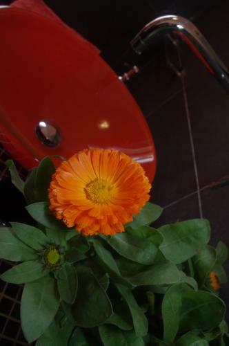 Bed & Breakfast I Colori Di Mag