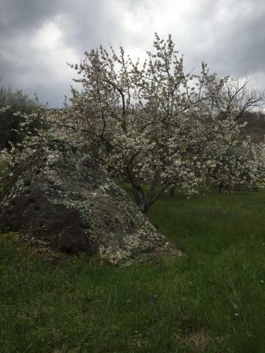 Apartamento Giardino Di Potentino
