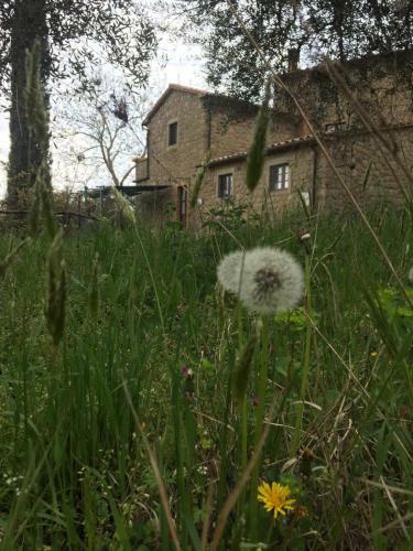 Apartamento Giardino Di Potentino