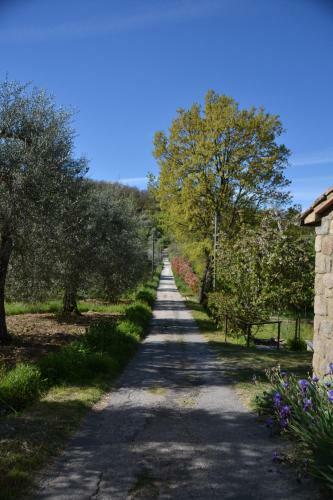 Apartamento Giardino Di Potentino