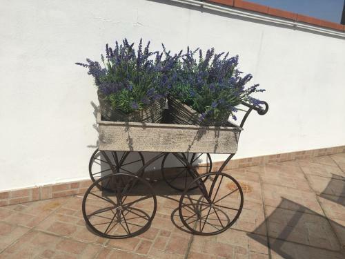 Hostal La Terrazza
