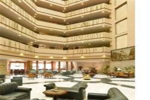 Hotel Hindustan International