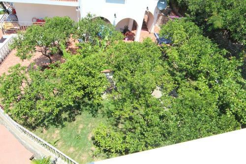Hostal Guest House Dayana