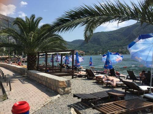 Albergue Kotor Korea Guest House