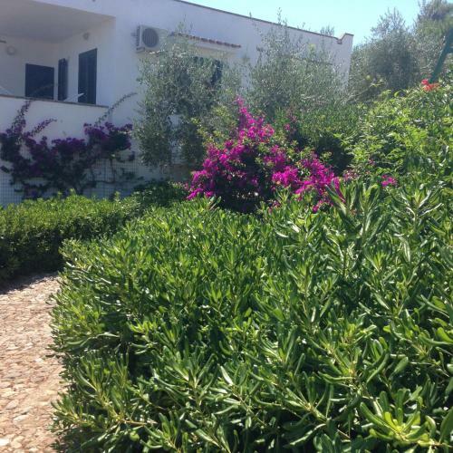 Apartamento Villaggio Passo Dell'arciprete