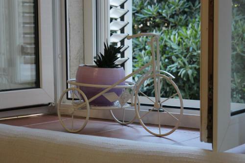Old Town Studio Apartment "jelena & Martin"