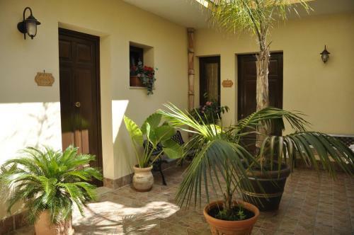 Hostal La Caribena Camere