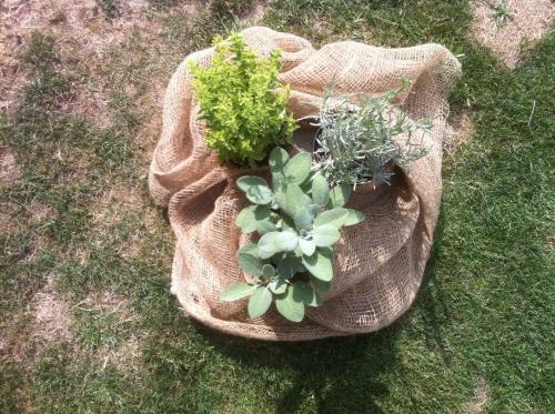 Bed & Breakfast Il Casale Del Giglio