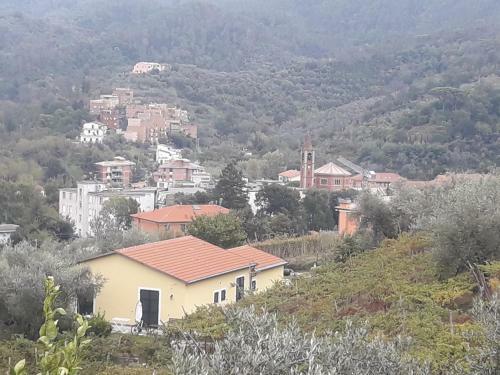 Agroturismo Agriturismo La Collina Verde