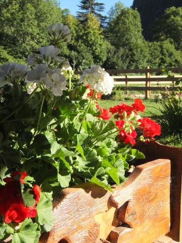 Bed & Breakfast Affittacamere La Luge D'antan