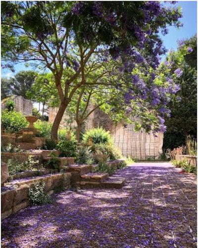 Apartamento Villa Margherita