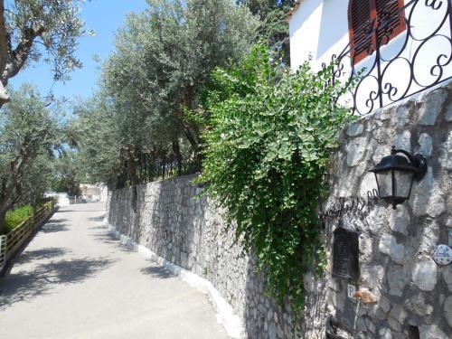 Villino La Piccolissima