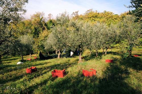 Agroturismo Villa Rosy