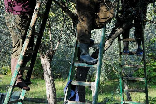 Agroturismo Villa Rosy