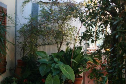 Hotel Albergo Villa Sorriso