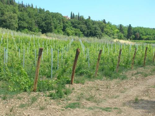 Agroturismo Podere Ghiole