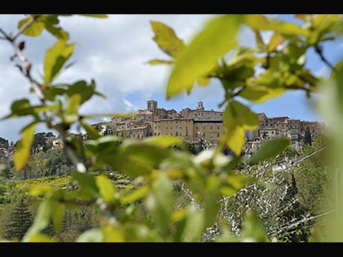 Agroturismo La Casina Toscana