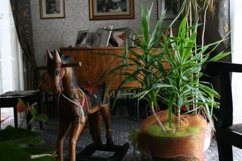 Palazzo Il Cavaliere B&B De Charme
