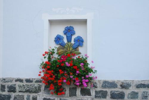 Hotel Residence Villa Genziana