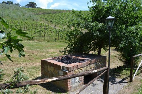 Agroturismo Agriturismo Patrizia Falciani