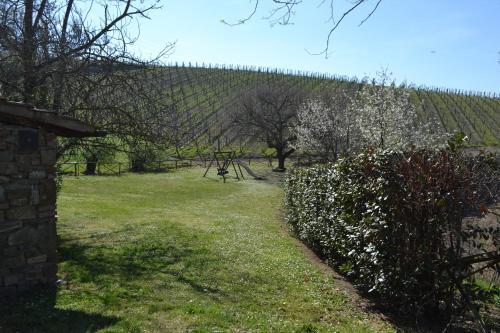 Agroturismo Agriturismo Patrizia Falciani