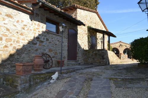 Agroturismo Agriturismo Patrizia Falciani