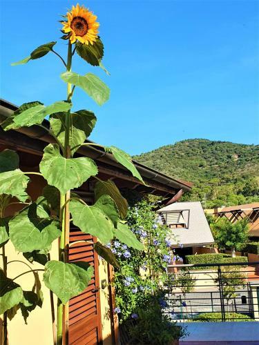 Apartamento La Terrazza Di Castiglione