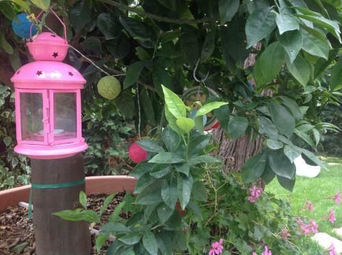 Bed & Breakfast A Casa Di Lolu