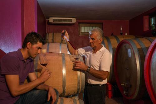 Agroturismo Agriturismo C� Brus�